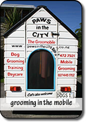 Mobile Grooming