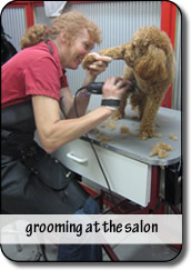 Salon Grooming